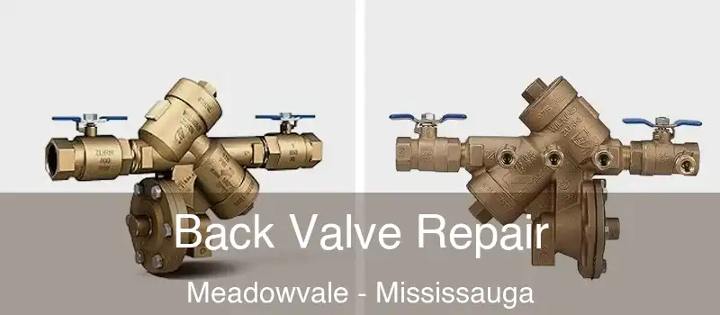  Back Valve Repair Meadowvale - Mississauga