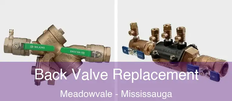 Back Valve Replacement Meadowvale - Mississauga