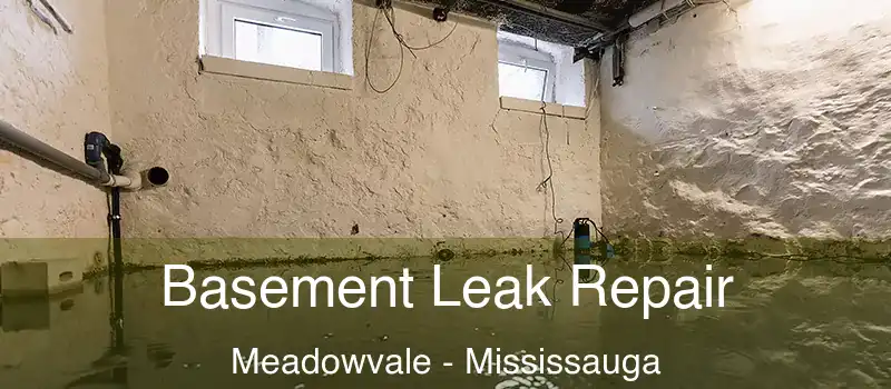 Basement Leak Repair Meadowvale - Mississauga