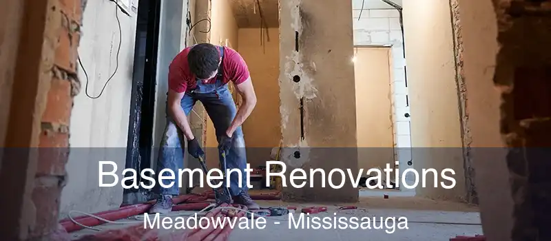 Basement Renovations Meadowvale - Mississauga