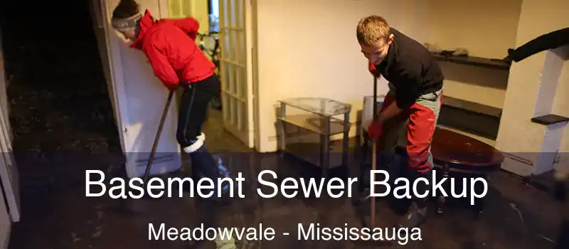 Basement Sewer Backup Meadowvale - Mississauga