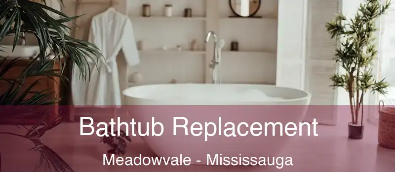 Bathtub Replacement Meadowvale - Mississauga
