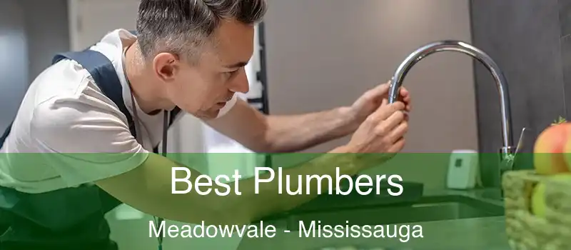  Best Plumbers Meadowvale - Mississauga