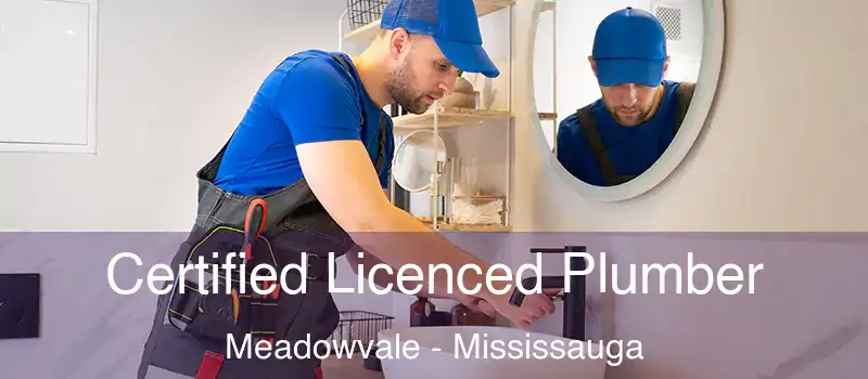 Certified Licenced Plumber Meadowvale - Mississauga