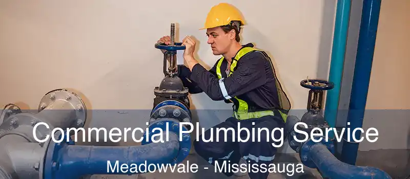 Commercial Plumbing Service Meadowvale - Mississauga
