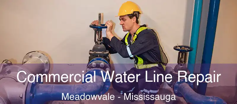 Commercial Water Line Repair Meadowvale - Mississauga
