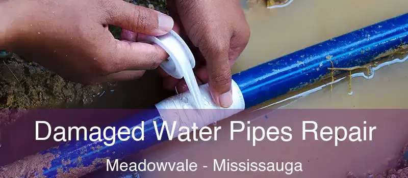 Damaged Water Pipes Repair Meadowvale - Mississauga