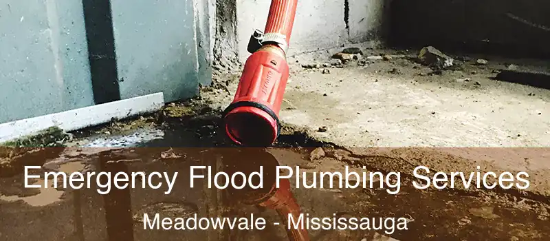 Emergency Flood Plumbing Services Meadowvale - Mississauga
