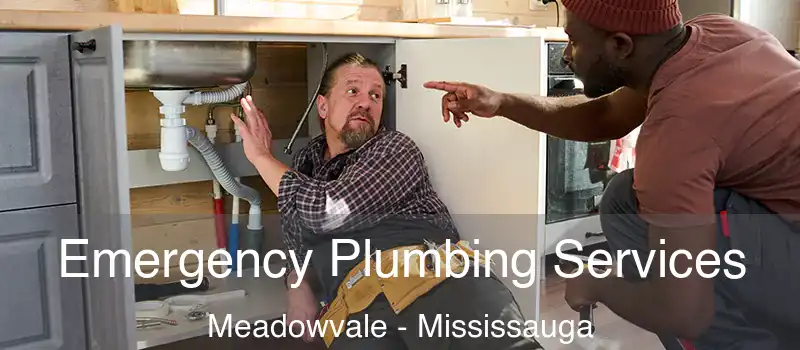  Emergency Plumbing Services Meadowvale - Mississauga