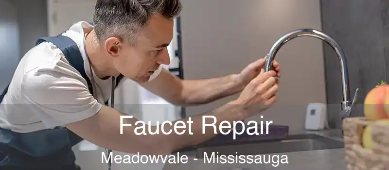 Faucet Repair Meadowvale - Mississauga