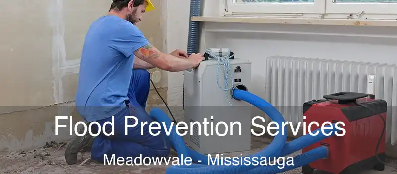 Flood Prevention Services Meadowvale - Mississauga