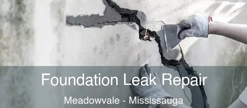 Foundation Leak Repair Meadowvale - Mississauga