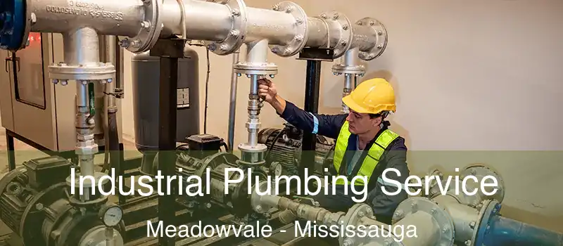 Industrial Plumbing Service Meadowvale - Mississauga