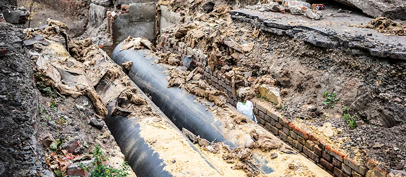 Commercial Sewer Tree Roots Damage Solutions in Meadowvale, Mississauga