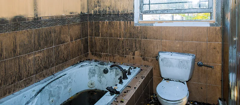 Residential Water Damage Restoration in Meadowvale, Mississauga