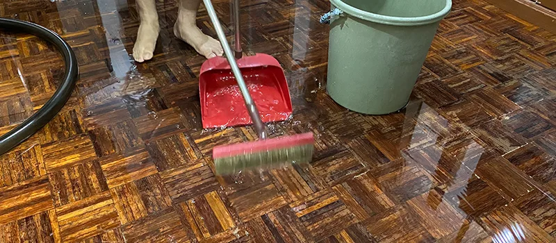 Water Removal And Restoration Services in Meadowvale, Mississauga