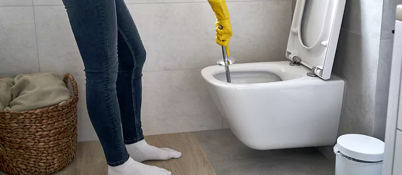 Toilet Flush Valve Installation Services in Meadowvale, Mississauga