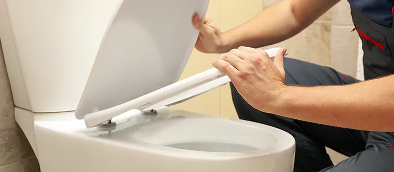 Damaged Toilet Parts Replacement Services in Meadowvale, Mississauga