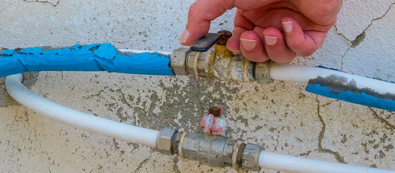 Ceiling Water Damage Repair in Meadowvale, Mississauga