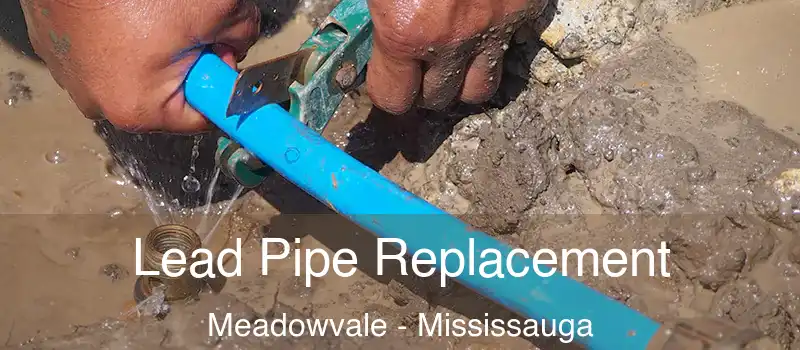 Lead Pipe Replacement Meadowvale - Mississauga