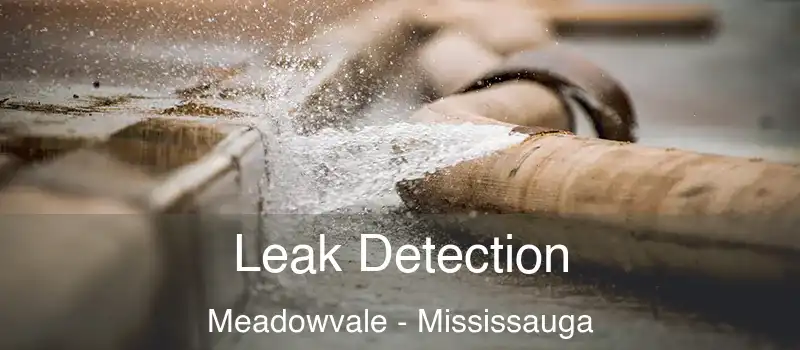 Leak Detection Meadowvale - Mississauga