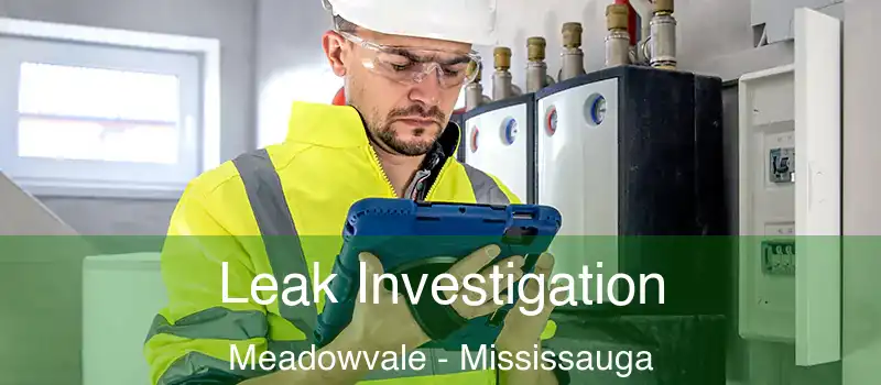 Leak Investigation Meadowvale - Mississauga