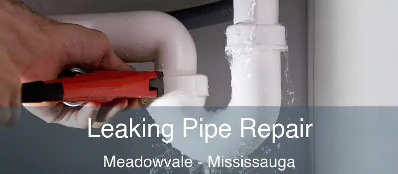 Leaking Pipe Repair Meadowvale - Mississauga