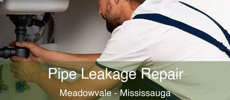  Pipe Leakage Repair Meadowvale - Mississauga