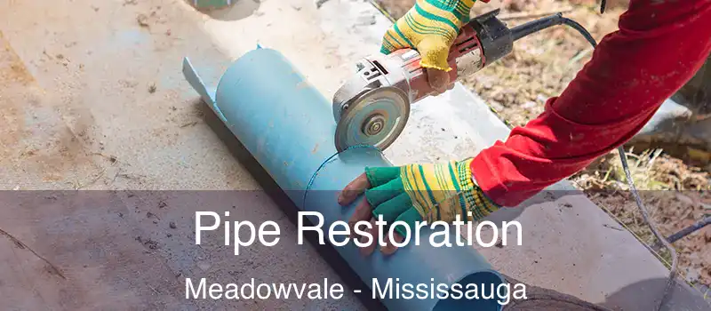 Pipe Restoration Meadowvale - Mississauga