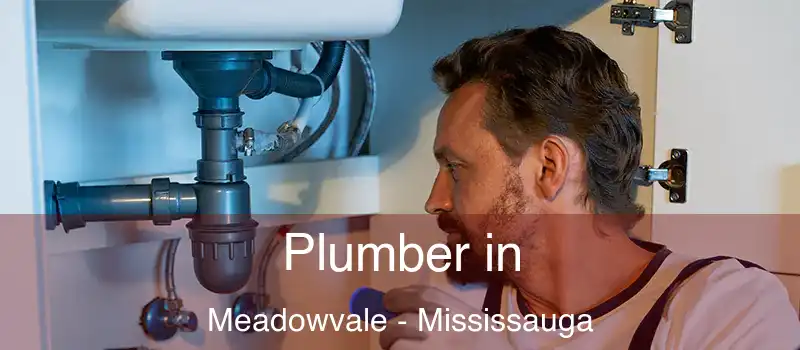 Plumber in Meadowvale - Mississauga