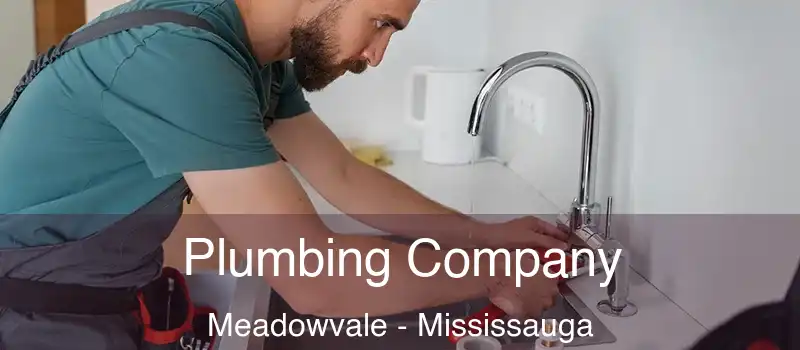 Plumbing Company Meadowvale - Mississauga