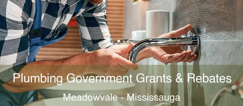 Plumbing Government Grants & Rebates Meadowvale - Mississauga