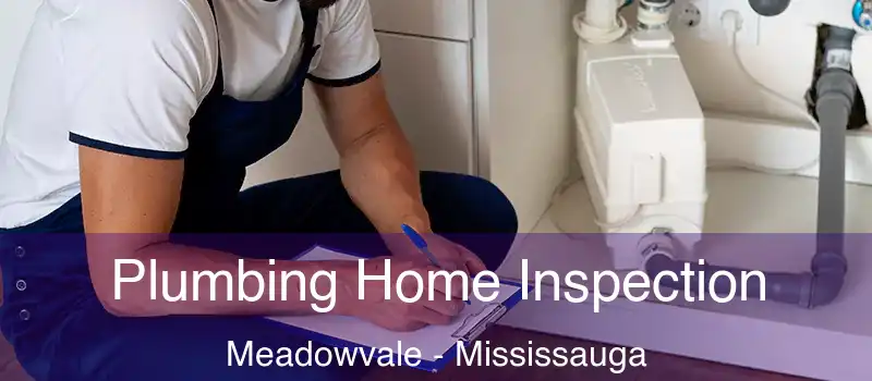 Plumbing Home Inspection Meadowvale - Mississauga