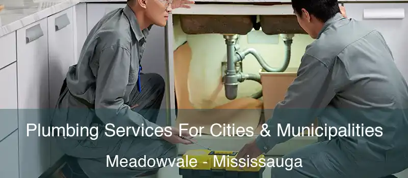 Plumbing Services For Cities & Municipalities Meadowvale - Mississauga