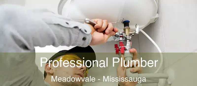  Professional Plumber Meadowvale - Mississauga