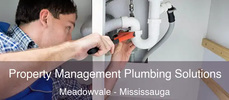 Property Management Plumbing Solutions Meadowvale - Mississauga