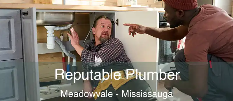  Reputable Plumber Meadowvale - Mississauga
