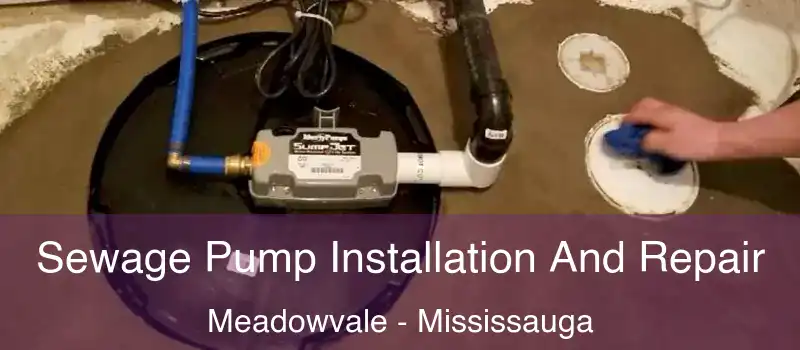  Sewage Pump Installation And Repair Meadowvale - Mississauga