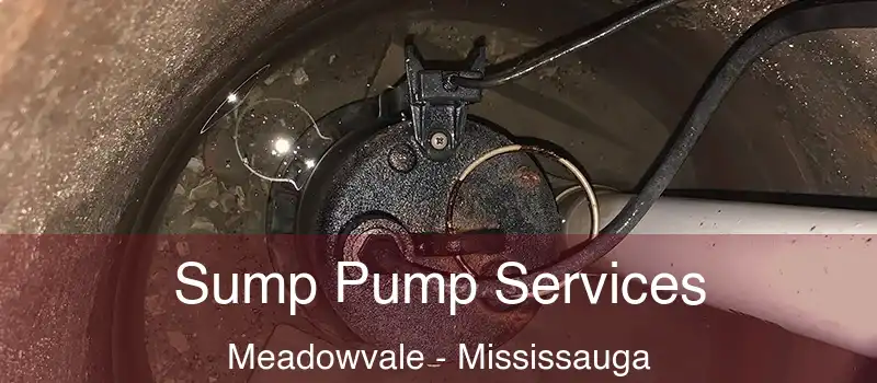 Sump Pump Services Meadowvale - Mississauga