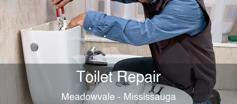 Toilet Repair Meadowvale - Mississauga