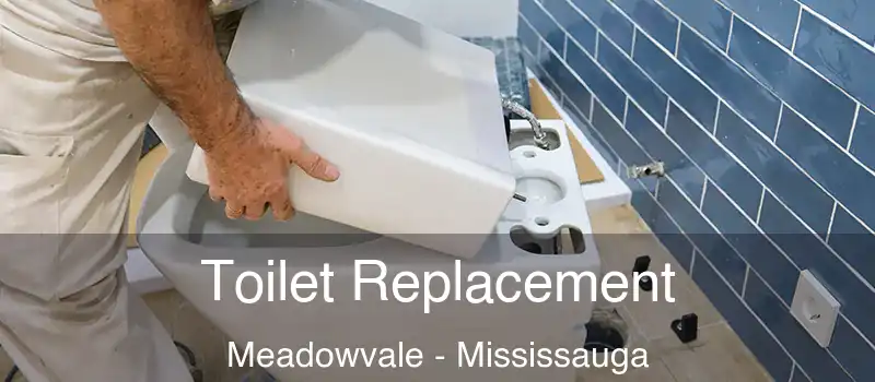  Toilet Replacement Meadowvale - Mississauga