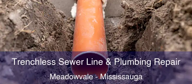 Trenchless Sewer Line & Plumbing Repair Meadowvale - Mississauga
