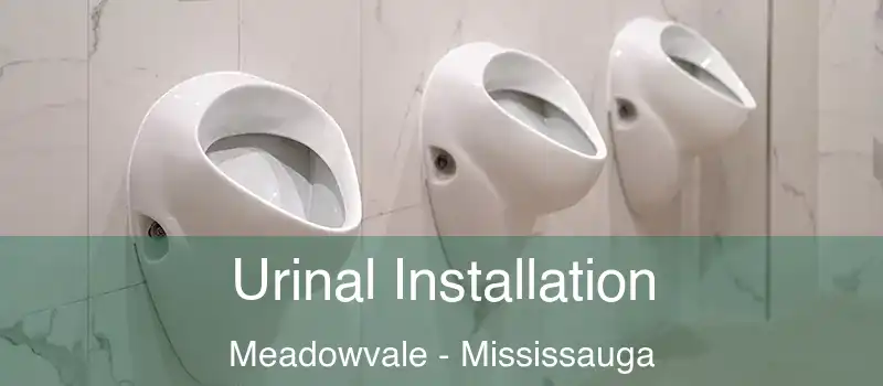 Urinal Installation Meadowvale - Mississauga
