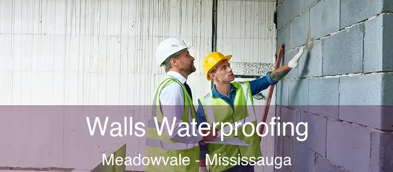  Walls Waterproofing Meadowvale - Mississauga