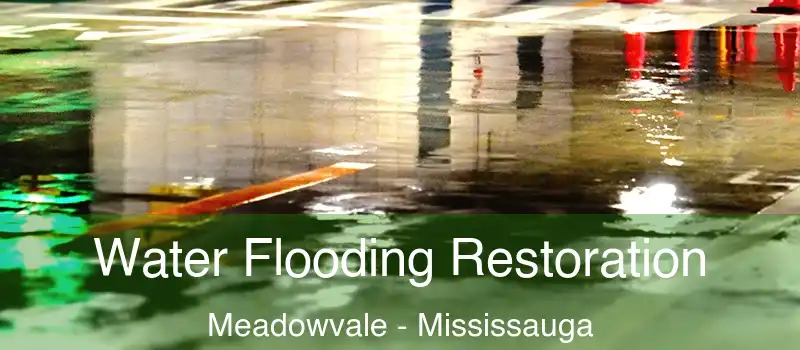 Water Flooding Restoration Meadowvale - Mississauga
