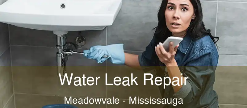 Water Leak Repair Meadowvale - Mississauga