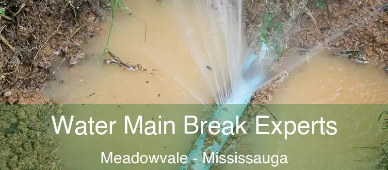  Water Main Break Experts Meadowvale - Mississauga