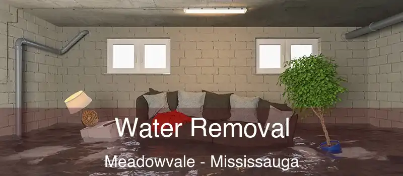  Water Removal Meadowvale - Mississauga