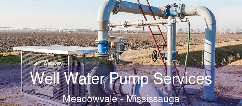 Well Water Pump Services Meadowvale - Mississauga